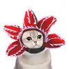 Habillement de chien chat chapeau de compagnie de compagnie cosplay costume coathear accessoire accessoire drôle