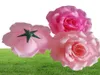 100pcs 10cm 20Colors Silk Rose Têtes de fleurs artificielles Fleur de bricolage de haute qualité pour le mur arc bouquet décoration fleurs 3933334