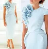 Nowe eleganckie formalne sukienki wieczorowe z ręcznie wykonanym konkursem kwiatowym Krwawione krótkie rękaw 2020 Pochyka PROM PROM COTHTAIL GO6326660
