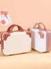 Depolama torbaları 14 inç taşınabilir kutu şifre küçük bavul kadınlar sevimli kasa hafif mini çanta abs malzemesi