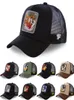 Daffy Coyote MH Snapback Taz Road Bunny Baseball Cap Regulowane kobiety mężczyźni anime kreskówka kapelusz kropka Drop9210174