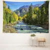 Streamside Forest Tapestry Wall Hanging Bohemian Peaks Natural Landscape Minimalist Art Eesthetics Room Home Decor