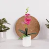 装飾的な花人工鉢植えのランフェイクプラスチックデスクトップフェイクリアルな盆栽