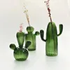 Vases H7EA Cactus Glass Vase Flower Plant Flowerpots Decorations Home Hydroponics Terrariums Arrangement Decors