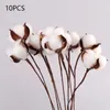 Dried Flowers Naturally Dried Cotton Flowers White Home Decorative Artificial Floral Branch Wedding Bridesmaid Bouquet Decor Fake White Flower