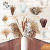 Fleurs décoratives Natural Pampas Pampas Grass Fall Fall Home Decor Taid Tail Tail pour une table et une pièce de décoration de mariage