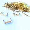 1000pcs l33 mm chrome Gol Butterfly boucle à cravate