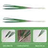 Decorative Flowers 2 Pcs Simulated Onion Model Artificial Lifelike Vegetable Vegetables Pu Fake Green Onions Decoration Scallions