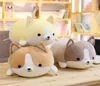 Bemenset Cute Corgi Dog Plush Toy fylld mjuk djurtecknad kudde härlig julklapp till barn Kawaii Valentine Present3989206