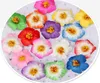 100pcs 9cm Frangipane Frangipani Fleur Sinensis Tête de fleur artificielle Hibiscus 16 Colors9115580