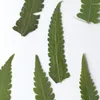 Flores decorativas 24pcs/4-6cm 9-11cm Nature Pressado Fern Leaf Plant Plant Po Frame Bookmarks Cartões de férias Cartões Diy Home Decoration