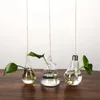 Vases Cute Bulb/Birds/Angel/Peach/Water Droplets Eye-catching Glass Vase Transparent Hanging Hydroponics Plant Pot Container