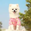 Hondenkleding Pet Puppy T -shirt Vest Kleding Spring en zomerstijl Travel geprinte korte mouw T -shirt kleine middelgrote honden