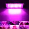 Nytt 220V Full Spectrum LED 100W 200W 300W Phyto för växtlätt Hydroponic Lamp Greenhouse Flower Seed Grow Lighting