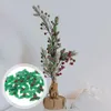 Bouteilles de rangement 30 PCS Micro paysage de Noël Couronne verte Berries Holly Decor Decor