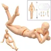 Body Doll, Artists Manikin Blockhead Jointed Mannequin Drawing Figures Male+Female Set