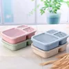 Dink Stows 2024 Lunch Box riutilizzabile in plastica 3-compartment Scatole di contenitore divisa da portata non slip tappeto tappeto di benvenuto tappetini