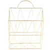 Magazine Habinement Hanging Wall Journal Journal Périodique Livre Document Document Organisateur Basket Metal Shelf Storage Container Disp