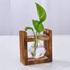 Vasi di legno Piante idroponiche piante vasi decorazione bonsai decorazione fiore trasparente decorazione per la casa in vetro