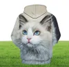 Men039s Hoodies Sweatshirts Cute Cat Boy Girl Outdoor 3D Printing Hoodie Sweater Pet Print Fashion Sports Pullover Autumn And7995659