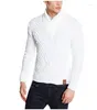 Sweaters voor heren 2024 Herfst/winter Fashion Brearwear Sweater Patroon Weven Casual Half High Neck -pullover