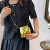 Humes Niche Design Evening Clutch Purse Luxury For Women Golden Acrylic Dîner Pouleau de créateur de sacs de sacs Funny