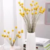 Dekorativa blommor 20st Naturtorkade Craspedia Billy Button Balls Floral Bouquet For Wedding Party Home Decoration Real Dry Plant Crafts