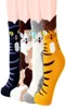 Autumn and Winter New Cat Cute Cotton Socks Casual Adult Socks Large Female4093873
