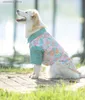 犬のアパレルbiはボーダーハーディンの服を着る夏の薄いペットクロスインシャツアンチダーティアンチヘアロス日焼け止めl49