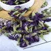 100/200g Natural Butterfly Orchid Séchée Fleur Bleu Blue Butterfly PEA FLORI