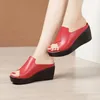 Slippers 2024 Femmes Slipper's Ladies Summer Shoes Corporations talons Fashion Geuthesine Leather Plateforme