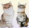50 cm Lifeke Lifend Plux Cat Oreiller en peluche 3d Imprimé animal Cat Throw Oreiller Home Decoration Gift for Car People 2203044871095