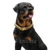 Collar de colores dorados collar de perro 18k con collares de mascotas de acero inoxidable de acero inoxidable de hebilla segura