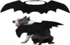 Psa odzież Pet Cat Bat Wings Halloween Cosplay Bats Costume Pets Ubrania dla kotów Kittak Puppy Małe średnie duże psy A974481416