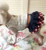 Haustierkleid Sommer Spring Hund Denim mit Gürtel Haustierprodukte Kleidung für Hunde Welpe Bekleidung Hunde Kleidung Spitze künstlich 240412
