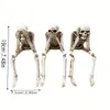 1pc Skull Statues Set Resin Skeleton Shelf-Sitters Assis Figurines pour la librairie à domicile Coule Decorative 240409