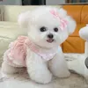 Sukienka dla małych psów odzież Puppy Chihuahua Yorkie Odzież Pomeranian Pudle Bichon FRIZE Ubrania Shih tzu kostium 240412