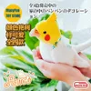 Budgerigar Cockatiel Parrot Anime Cute Plushie Budgie Bird Plush Toys Livselike Djur Simulering fylld dockan 240401