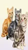 1836 cm ins zoals echte vatte kattenhond pluche pop gevulde pure kleuren grijs wit geel kitten speelgoed kleine huisdieren kinderen cadeau 220419702801