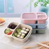 Dink Stows 2024 Lunch Box riutilizzabile in plastica 3-compartment Scatole di contenitore divisa da portata non slip tappeto tappeto di benvenuto tappetini