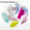 Many Kinds Multicolour Combinations Turkey Feather Crafts Quality Fluffy Marabou Plumes for Wedding Party Festivals Decorative