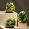 Vasi 1pc bottiglie di vetro a forma di uovo creativa succulente vaso idroponico micro paesaggio terrarium decorazione