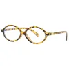 Lunettes de soleil Y2K Verres à cadre ovale Femmes Retro Leopard Print Shades Eyewear Computer Lire Eyeglass Anti-Blue Light Eyes Decorations