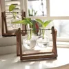 Vaser Växtglasvas med trälivtransparent terrarium retro bordsskiva Hydroponics bonsai hem dekoration