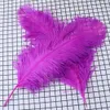 10pcs/Lot Purple Sttrich Piume per artigianato Decorazioni per feste per matrimoni Plumi da tavolo da strich Centrotavola colorato Decorazione di piume colorate