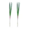 Decorative Flowers 2 Pcs Simulated Onion Model Artificial Lifelike Vegetable Vegetables Pu Fake Green Onions Decoration Scallions