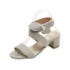 Hip Summer Sandal Bow Wedge Sandals Platform Wedges Large Womens Shoes Womanshoes Flip Flop Sandles Heels 240228