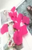 1000st Fushia Artificial Silk Rose Flower Petals Wedding Favor Accessories Party Event Decoration5655042