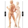 Body Doll, Artists Manikin Blockhead Jointed Mannequin Drawing Figures Male+Female Set