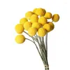 Dekorativa blommor 20st Naturtorkade Craspedia Billy Button Balls Floral Bouquet For Wedding Party Home Decoration Real Dry Plant Crafts